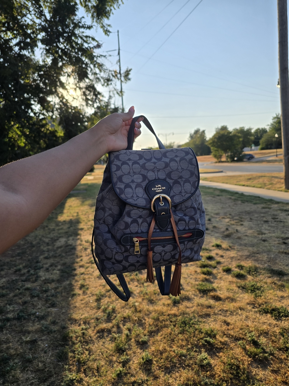 Coach Signature Mini Backpack in Dark Brown and Tan